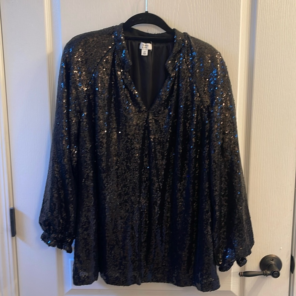Beautiful sequined long sleeve top.